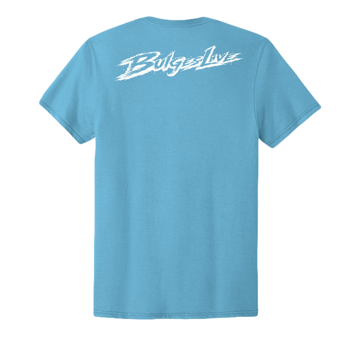 AQUATIC BLUE - 363M - BACK